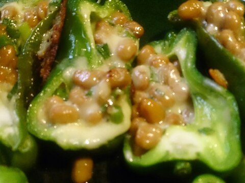 ピーマンの納豆チーズ焼き